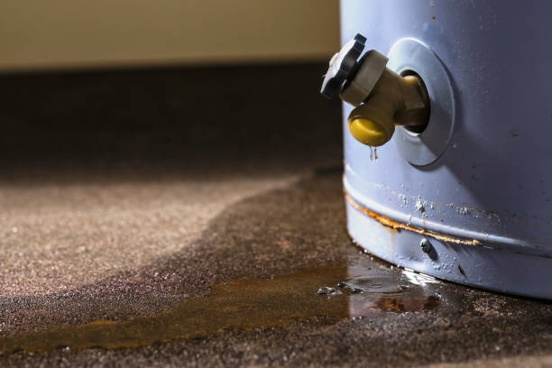 Best Flood damage cleanup  in Carlisle, IA