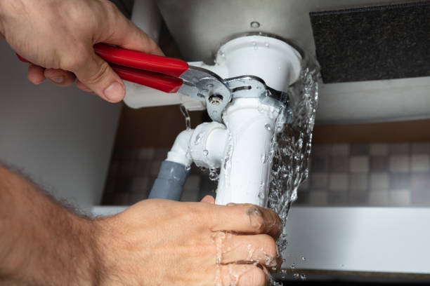 Best Commercial water damage restoration  in Carlisle, IA