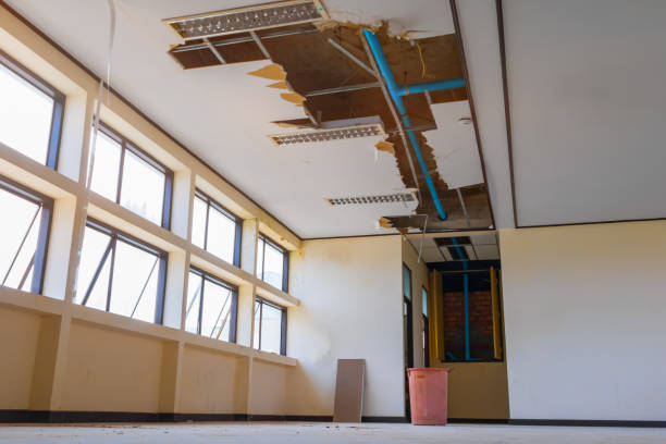 Best Carpet water damage restoration  in Carlisle, IA