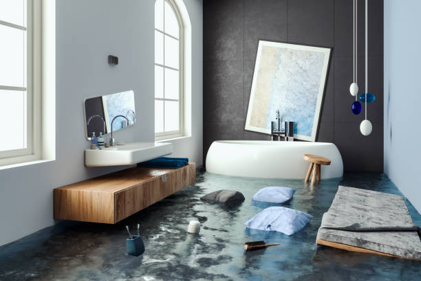 Best 24/7 water damage repair  in Carlisle, IA