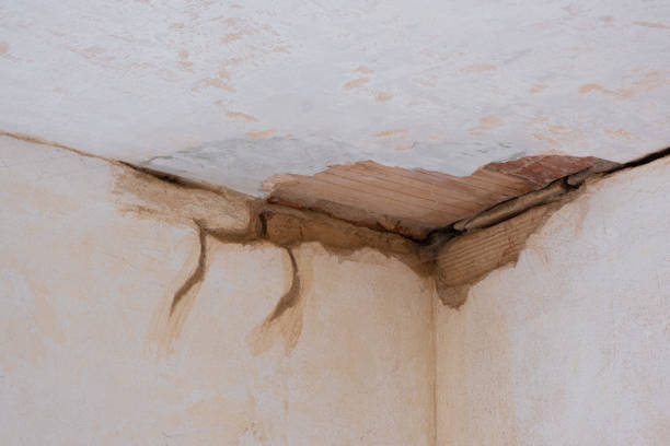  Carlisle, IA Water damage restoration Pros