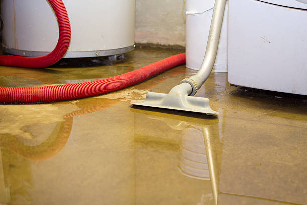 Best Water damage cleanup near me  in Carlisle, IA