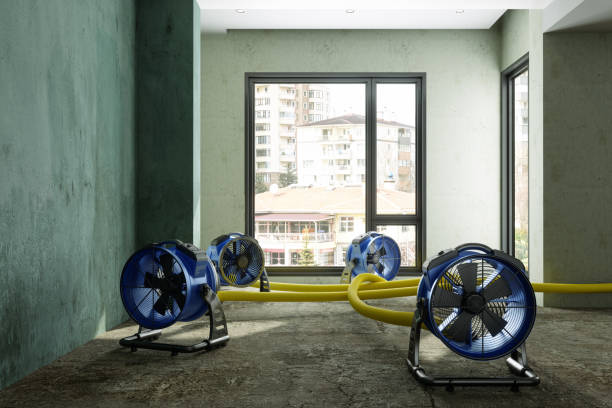 Best Water damage restoration near me  in Carlisle, IA