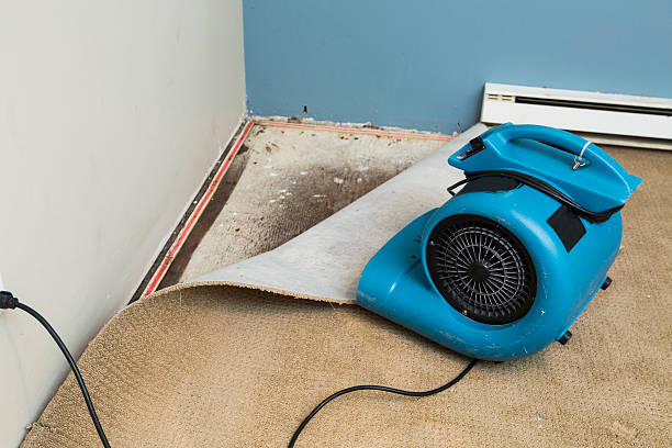 Best 24-hour water damage restoration  in Carlisle, IA